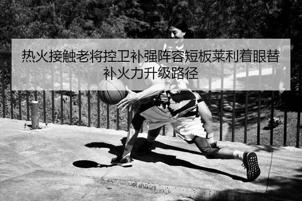 热火接触老将控卫补强阵容短板莱利着眼替补火力升级路径